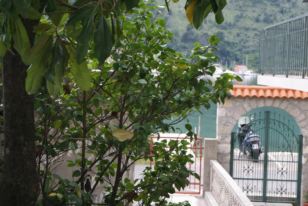 Apartment Kotor-Andrija Jovanovic Phòng bức ảnh